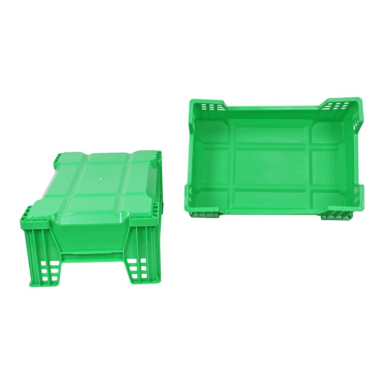 Black Soldier Fly Box